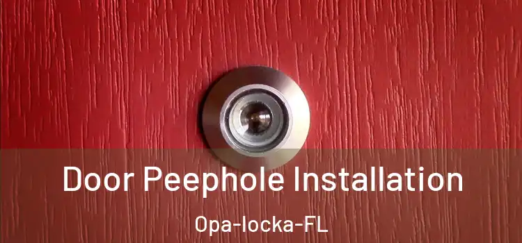  Door Peephole Installation Opa-locka-FL