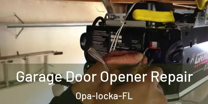  Garage Door Opener Repair Opa-locka-FL