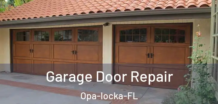  Garage Door Repair Opa-locka-FL