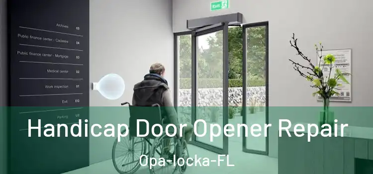  Handicap Door Opener Repair Opa-locka-FL