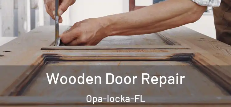  Wooden Door Repair Opa-locka-FL
